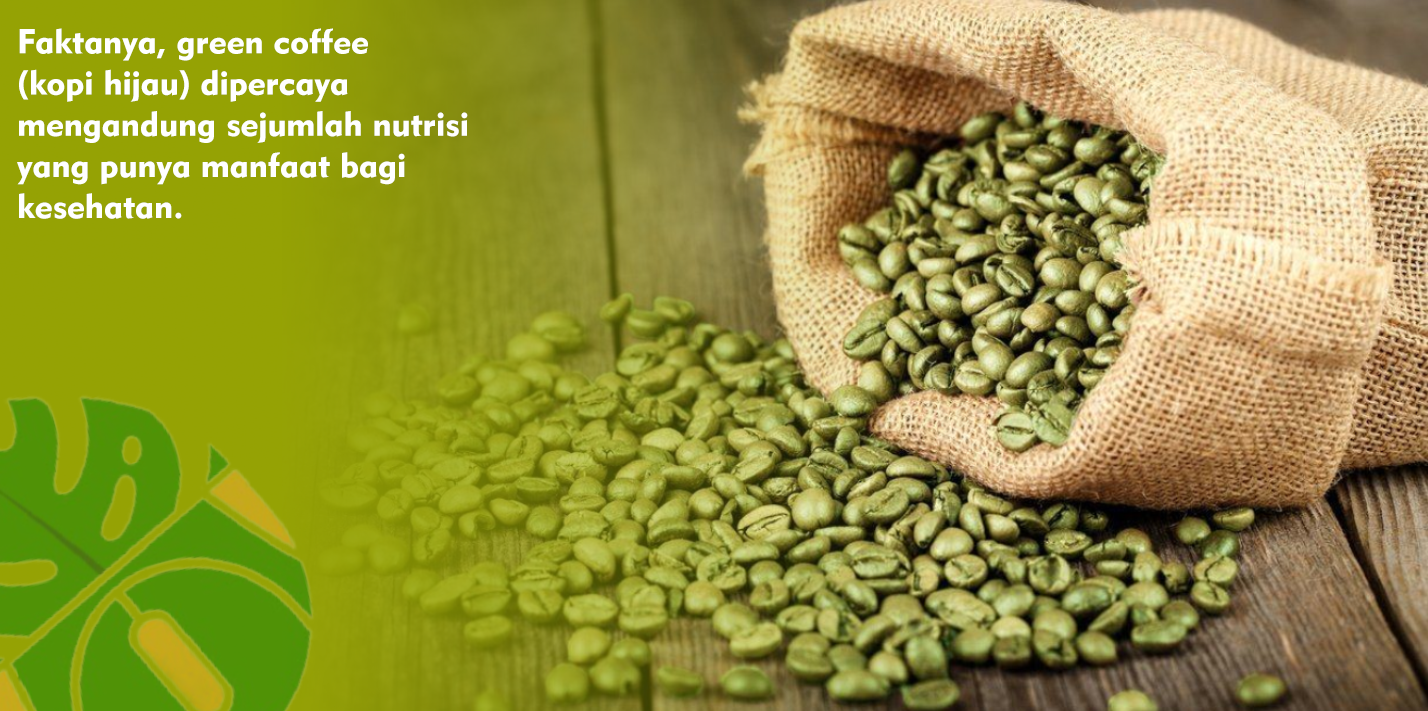 Segudang Manfaat Green Coffee Salah Satunya Bagus Untuk Menurunkan Berat Badan